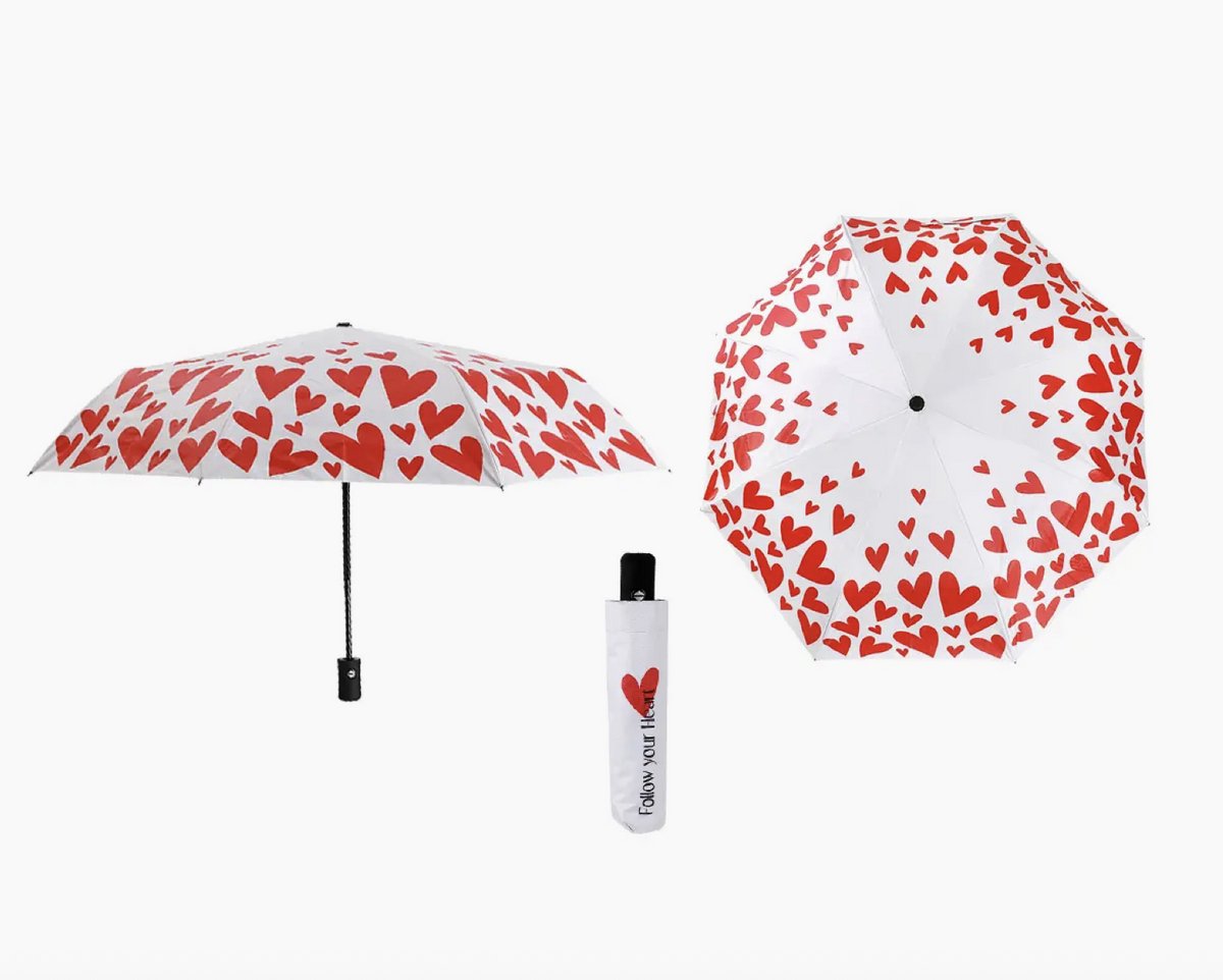 Automatic Opening Umbrella FOLLOW YOUR HEART