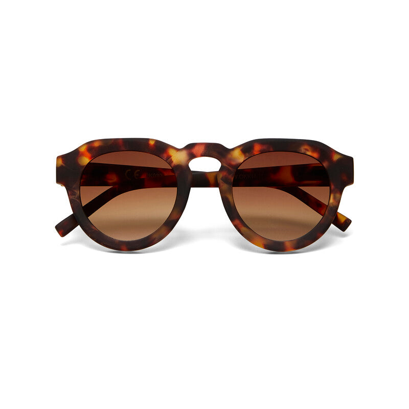 SUNGLASSES ZENO - CLASSIC HAVANA & BROWN