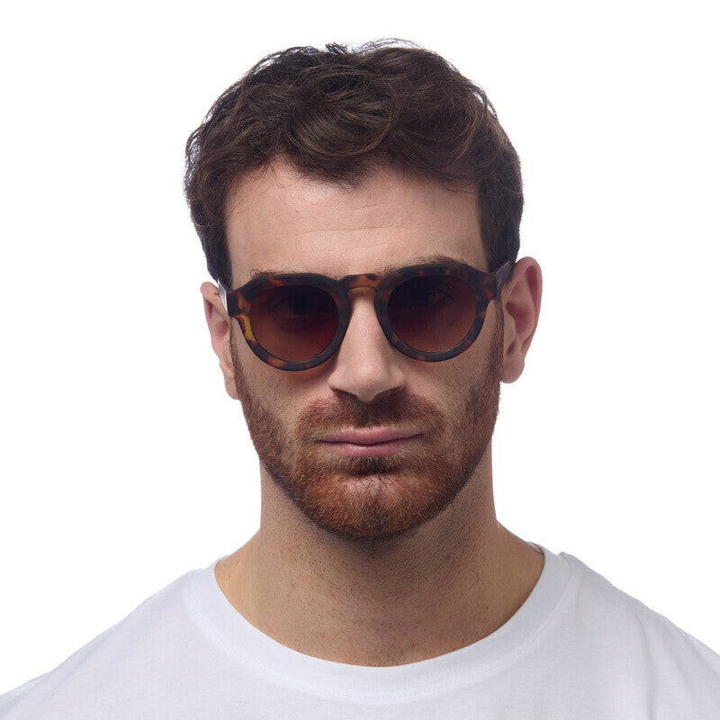 SUNGLASSES ZENO - CLASSIC HAVANA & BROWN