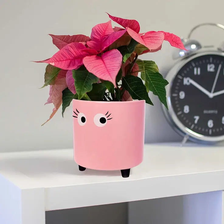Vase Planter with Eyes - Pink