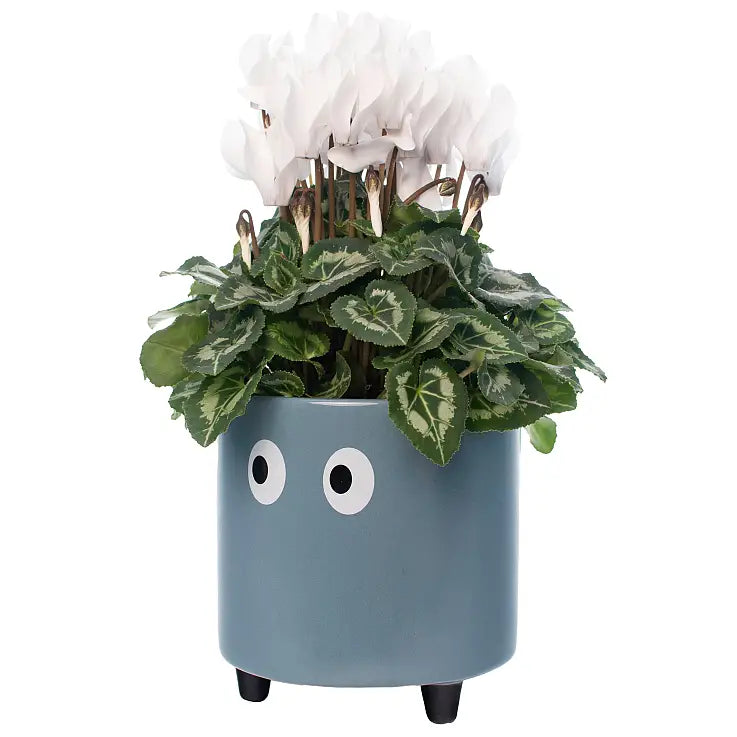 Vase Planter with Eyes - Blue