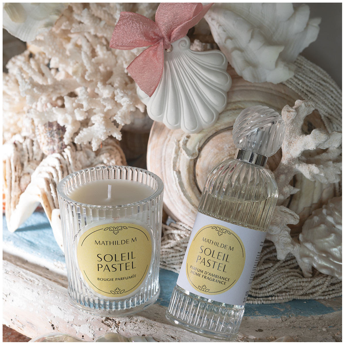 Scented Decor Small Shell - Soleil Paste