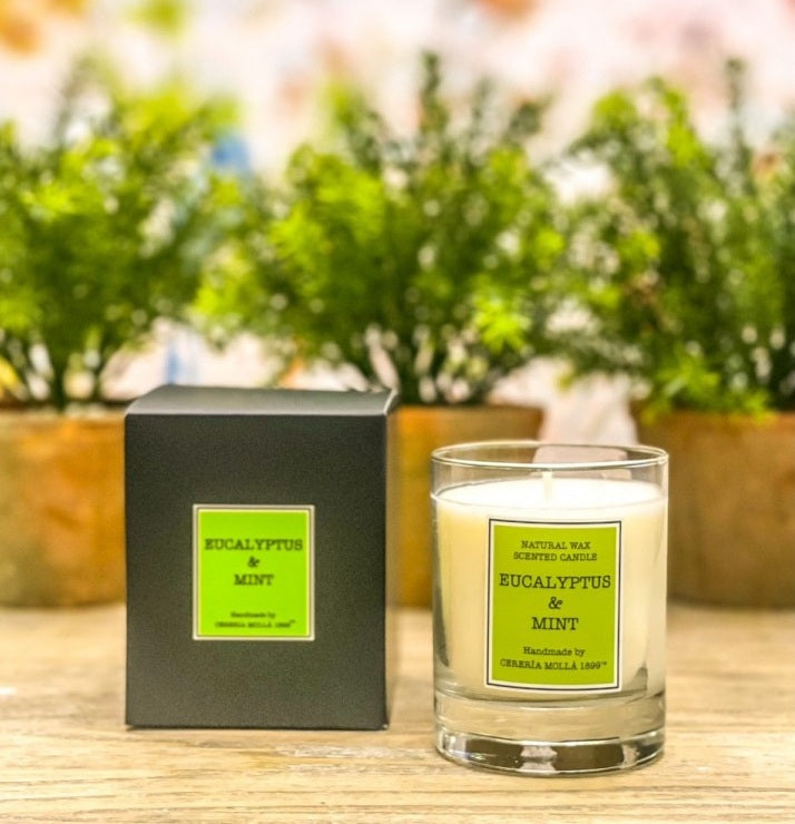 Eucalyptus & Mint 230gr Candle