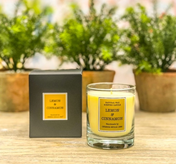 Lemon & Cinnamon 230gr Candle
