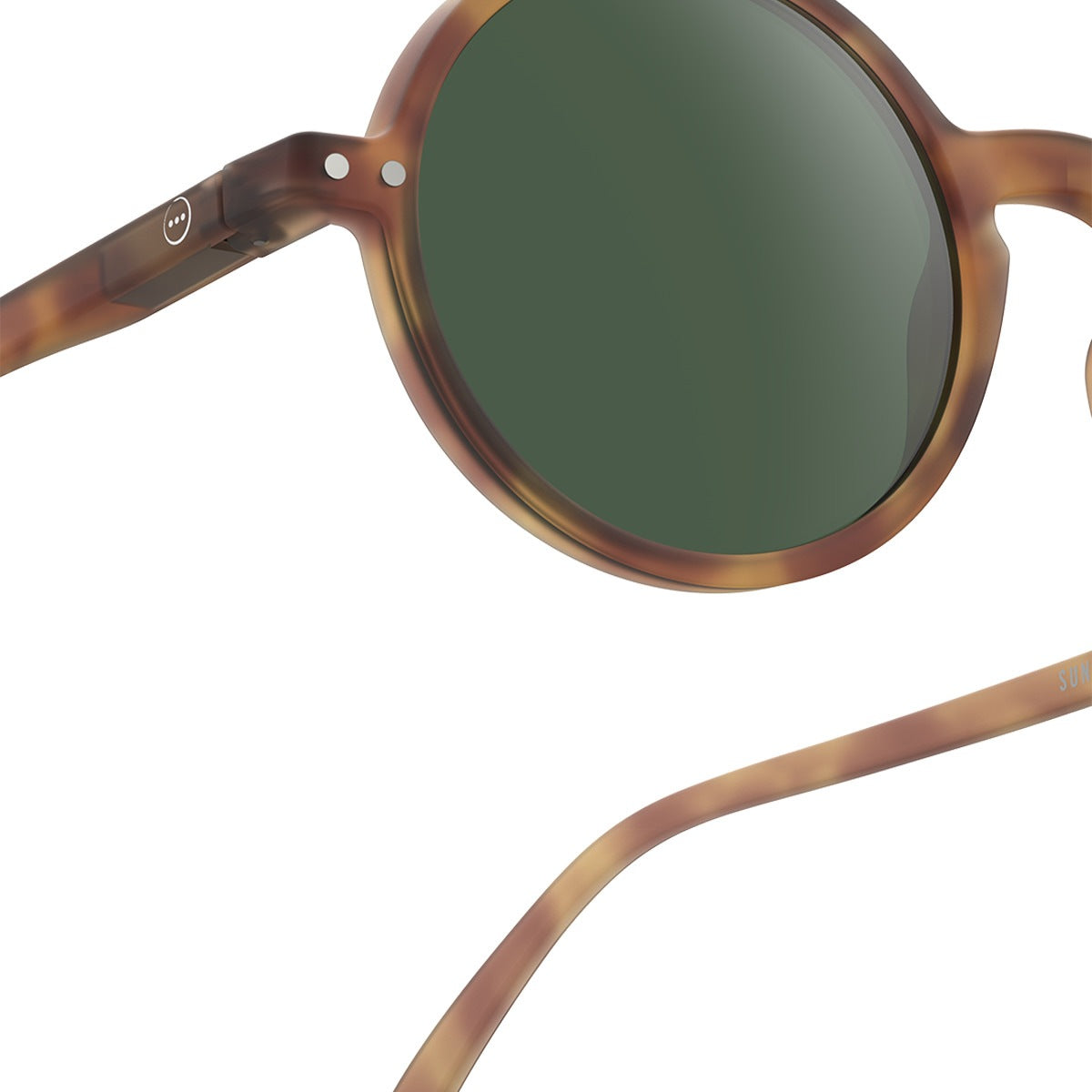 SUN SUNGLASSES - #G Havane
