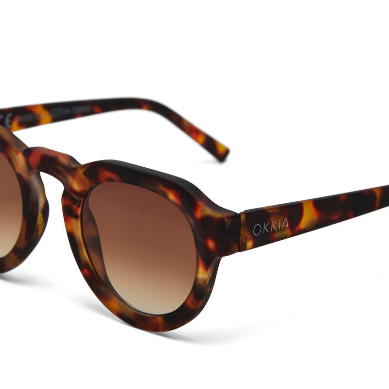 SUNGLASSES ZENO - CLASSIC HAVANA & BROWN