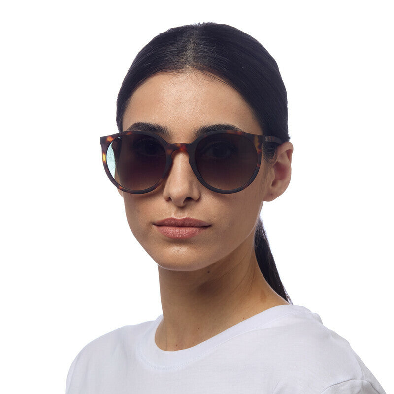 SUNGLASSES BERLINO - HAVANA