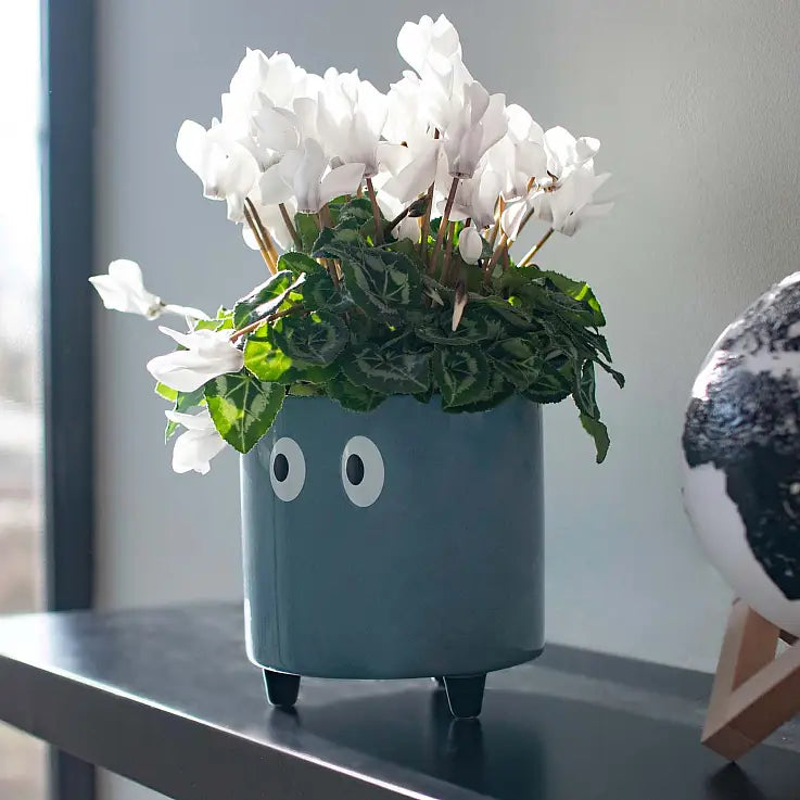 Vase Planter with Eyes - Blue
