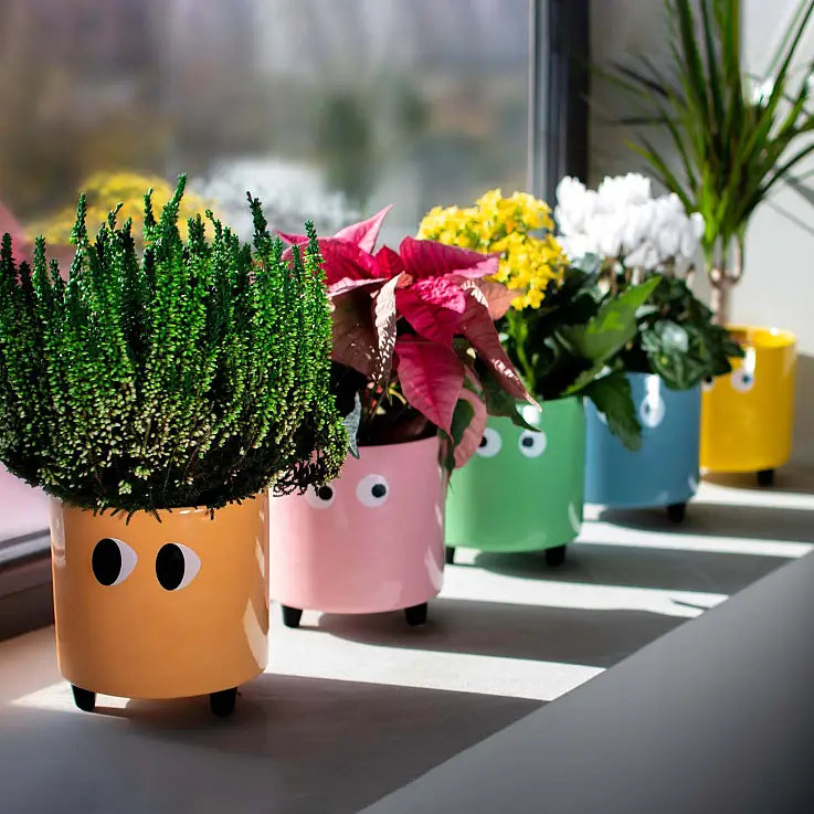 Vase Planter with Eyes - Pink