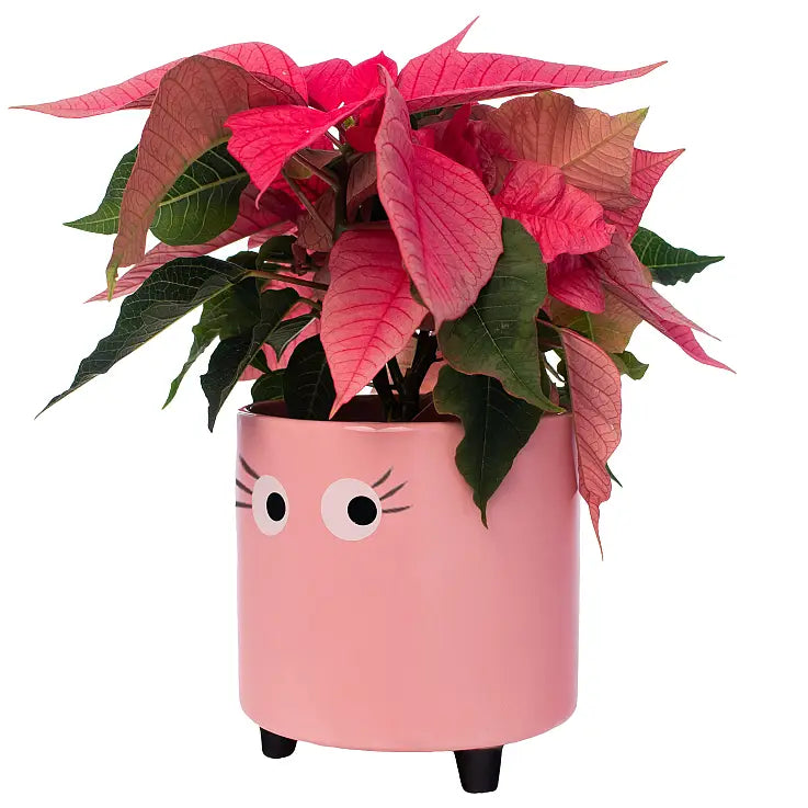 Vase Planter with Eyes - Pink