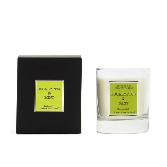Eucalyptus & Mint 230gr Candle
