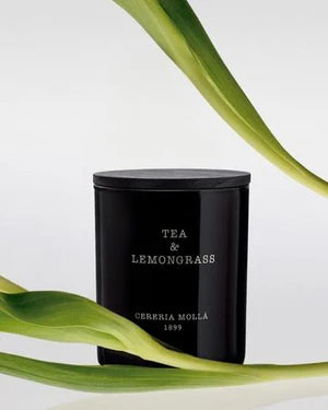 Tea & Lemongrass 230g Candle