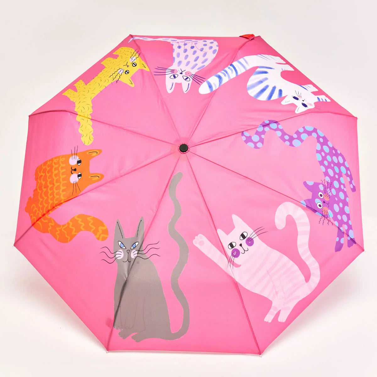 Duck Umbrella - Fuchsia Arty Cats