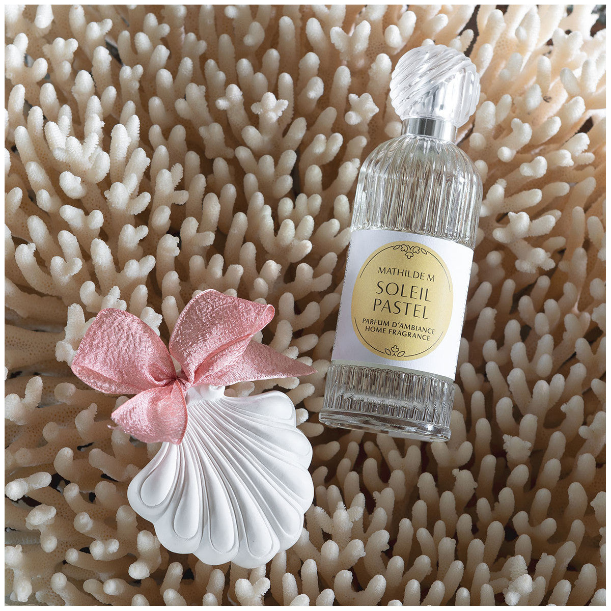 Scented Decor Small Shell - Soleil Paste