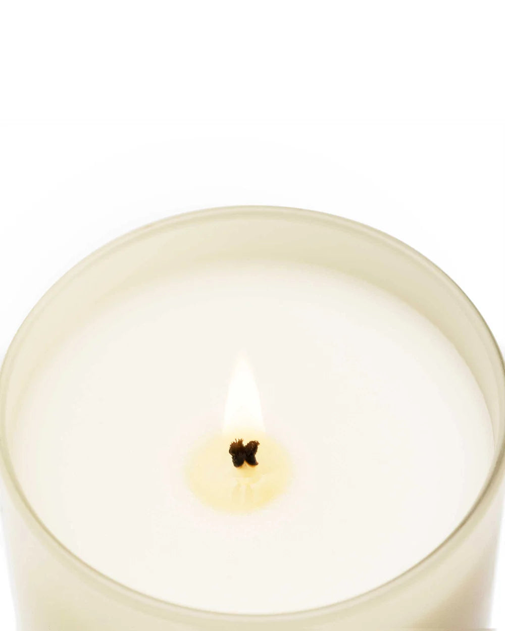 Velvet Wood 230g Candle